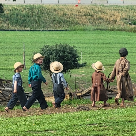 Amish Goat's Milk Cool Mint Sunny Acres Homemade Bar Soaps Coconut Oil - Picture 4 of 4